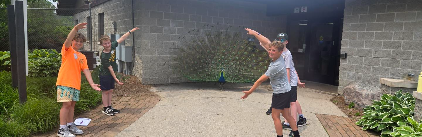 Zoo Field Trip
